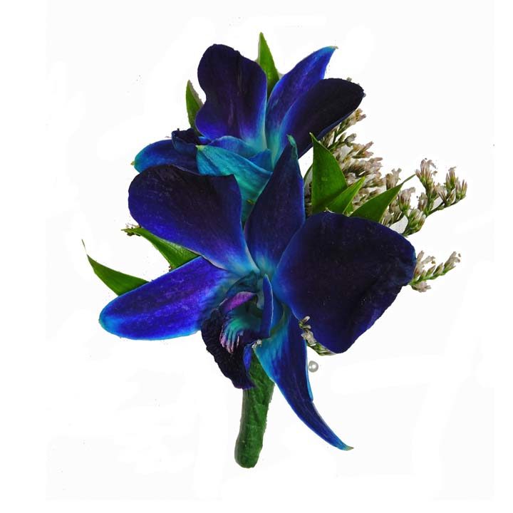 Blue Dendrobium Orchid Boutonniere Cbbpas05 Flower Patch