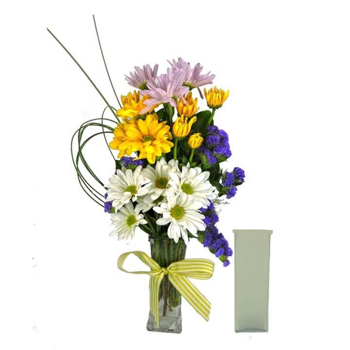 sunshine-Daisy-with-frosted-vase