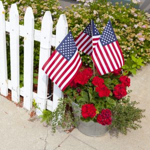 House Garden With American Flags